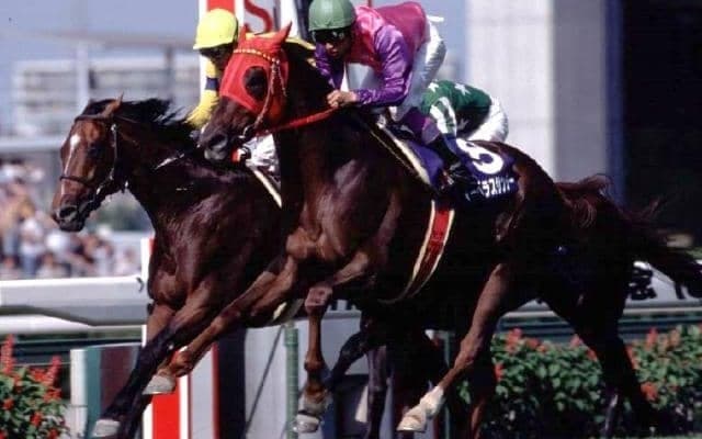 重賞5勝馬が武豊騎手とともにつかんだ悲願のGI制覇 苦難と挫折の先に待ち受けていた栄光