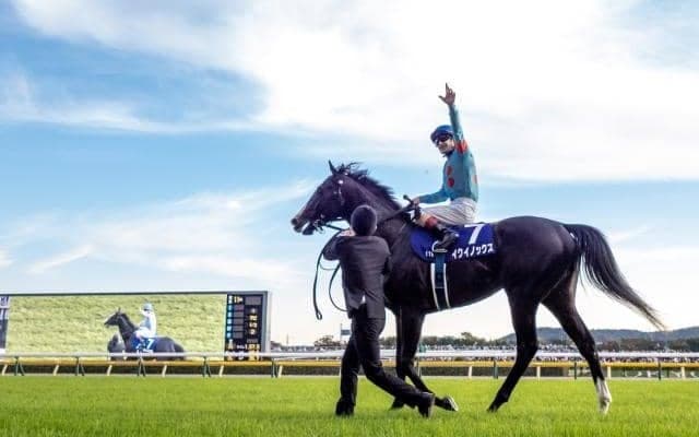 【宝塚記念予想】波乱傾向の古馬GI 上半期を締めくくる人馬は？