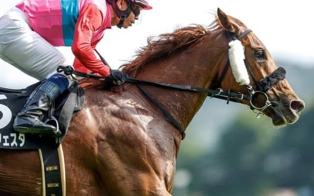 【パラダイスS予想】条件良し＆季節良し 前走125倍Vもフロック視は危険