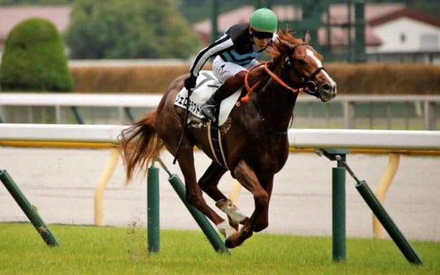 【新馬/東京5R】ヴェロキラプトルがデビューV…三浦皇成騎手はJRA通算1000勝達成