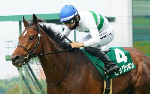 【マーメイドS】西村淳「何の心配もなかった」ビッグリボンが重賞初制覇