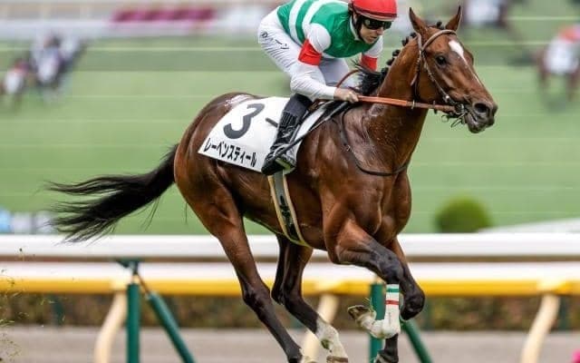 【ラジオNIKKEI賞】レーベンスティール、バルサムノートらが登録