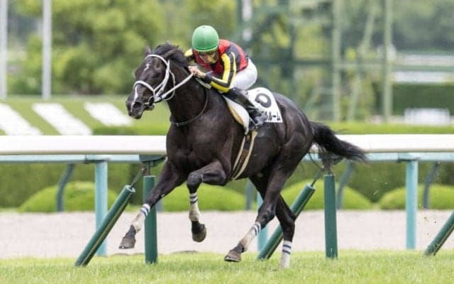 【新馬/阪神5R】キズナ産駒 ギャンブルルームが5馬身差圧勝