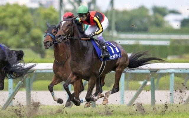【宝塚記念】武豊「勝ったかなと思ったけど…」レース後ジョッキーコメント