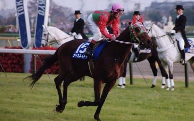 ナイスネイチャの近親ライスネイチャ 先週栗東トレセンに入厩