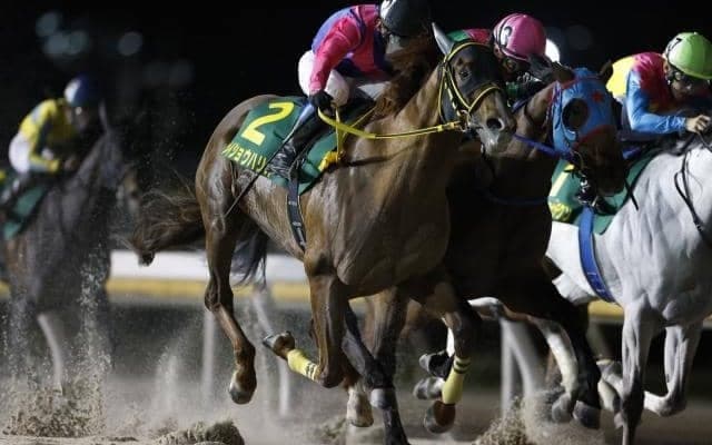 史上初の帝王賞連覇なるか 6歳にして進化続けるダート王者が偉業に挑む