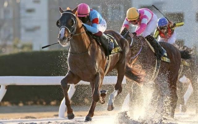 【先週のJRA抹消馬】21年の名古屋グランプリ制したヴェルテックス、リステッド2勝のアルサトワなどが抹消