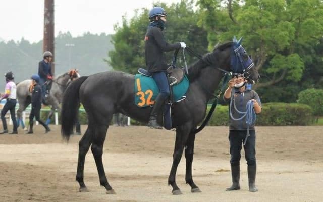 近親にダービー馬マカヒキ レイデラルースがレイデオロ産駒初勝利を狙う/関東馬メイクデビュー情報