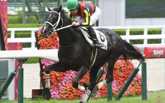 現2歳のノーザン×キズナ産駒は例年の約3倍 秋の重賞戦線へ期待高まる勝ちっぷり