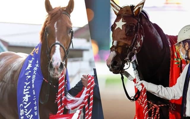 【JDD選定馬】無敗の三冠制覇かかるミックファイア 兵庫CSで6馬身差圧勝のミトノオーなど