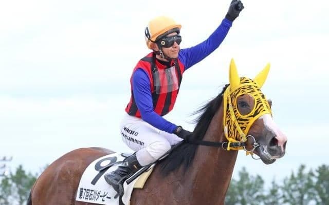 【金沢・石川ダービー結果】10戦10勝で戴冠 ショウガタップリが圧勝で金沢3歳王者に