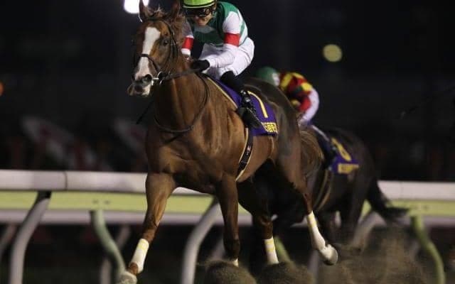 ディープインパクトの近親がダートで才能開花 大舞台で圧巻の走り披露/2012年帝王賞プレイバック