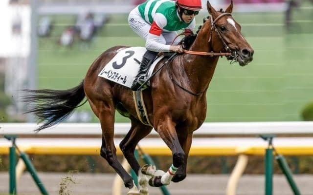 【ラジオNIKKEI賞予想オッズ】レーベンスティールが予想1番人気