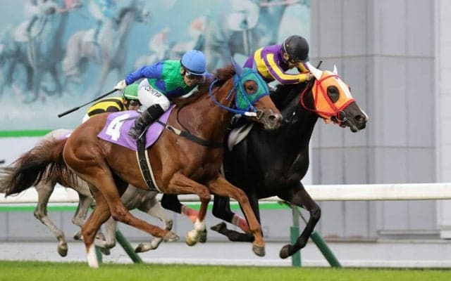 【盛岡・はまなす賞】スノーパトロールが逃げ切りで準重賞制覇…山本政「今の芝は先行有利」