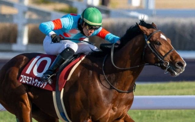 【帝王賞】5連勝中、プロミストウォリアは6枠8番