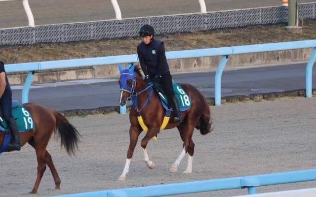 ライスネイチャ、ゲート試験に向けて調整中/栗東トレセンニュース