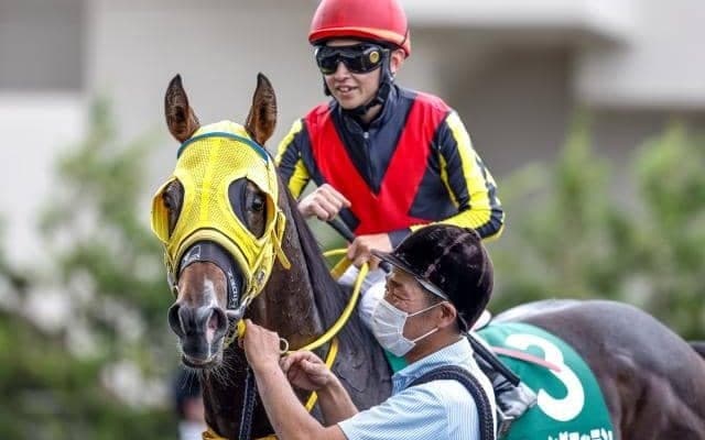 【七夕賞想定】フェーングロッテン、バトルボーンなど21頭