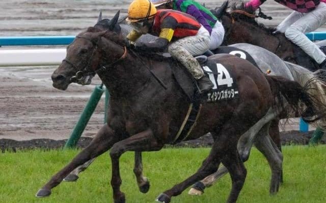 海外G1・2勝のエイシンヒカリ CBC賞で産駒初の重賞制覇に挑戦