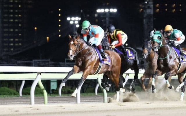 【帝王賞】鮫島駿「ちょっと長かったのかな…」プロミストウォリア、G1の壁で連勝ストップ
