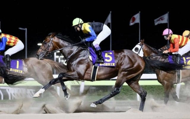 【帝王賞】武豊「距離が長いのかも」レース後ジョッキーコメント