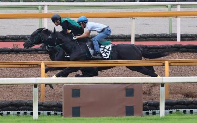 セイウンハーデス、七夕賞1週前追い切り速報/栗東トレセンニュース