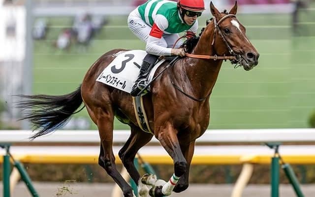 【ラジオNIKKEI賞出走馬・騎手確定】レーベンスティール＆戸崎圭太騎手、アイスグリーン＆幸英明騎手など16頭