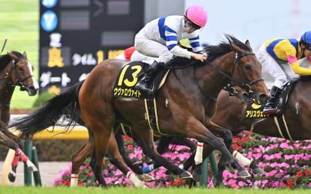 【ラジオNIKKEI賞枠順確定】レーベンスティールは7枠14番、バルサムノートは5枠10番