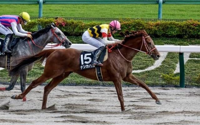 総額2億4000万円のアーモンドアイ初仔は歴代6位 募集総額トップ10を見てみよう