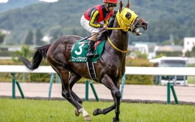 【七夕賞想定馬・騎手】フェーングロッテン、ヴァンケドミンゴなど22頭