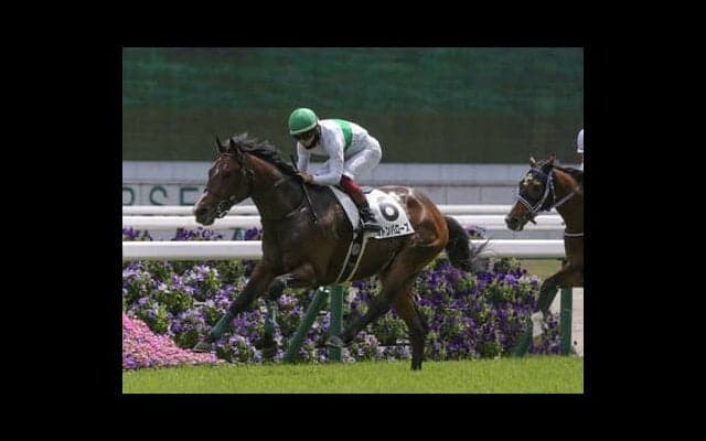 ラジオNIKKEI賞は直近15年で14勝の「サンデーサイレンス系」から２頭を厳選