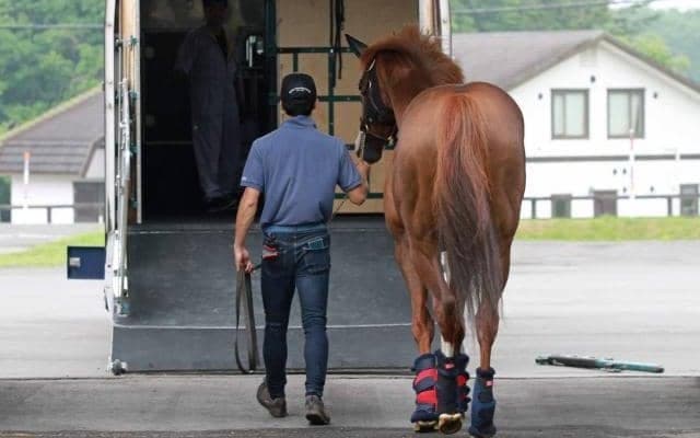 モーリスら3頭が出検疫施設に入厩 今年もシャトル種牡馬として供用へ
