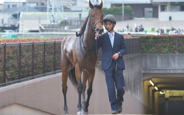 【ラジオNIKEEI賞予想】実質トップハンデ!? 斤量55キロも低くないハードル