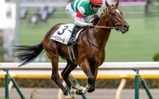 【ラジオNIKKEI賞前日オッズ】レーベンスティールが1.9倍で1番人気