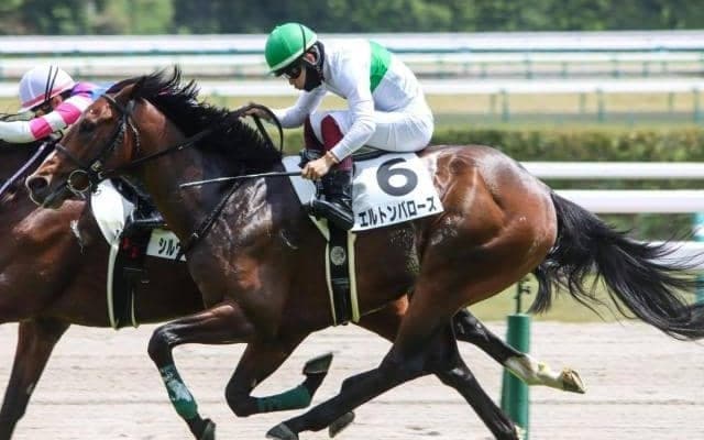 福島芝はディープ系の先行馬が狙い目 エルトンバローズに要注意
