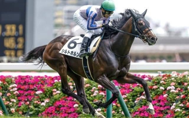 【AI予想・ラジオNIKKEI賞】週初から本命は一転も波乱含みの見解に変わりなし!? 人工知能が「◎」を打った伏兵とは