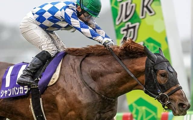 最高配当額は7500万円超え 上半期のWIN5を振り返る