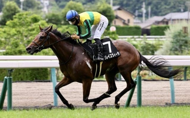【松島特別】ソレイユヴィータが人気に応えて3連勝