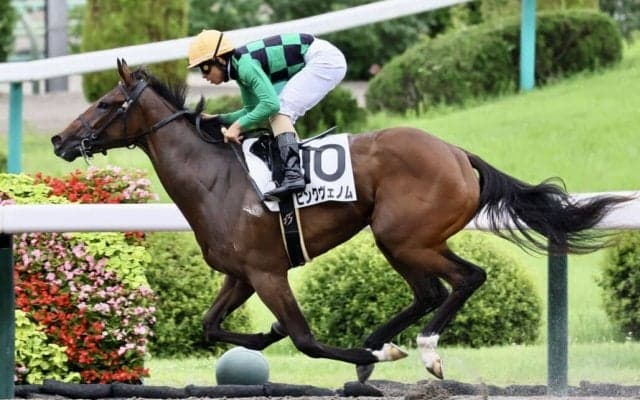 【新馬/福島6R】パイロ産駒 ピンクヴェノムが人気に応える