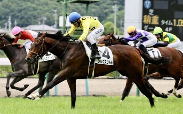 【新馬/福島5R】10番人気の伏兵、シリウスコルトがデビューV