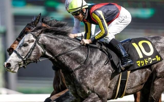 【今日の注目ポイント】福島でラジオNIKKEI賞、中京ではCBC賞