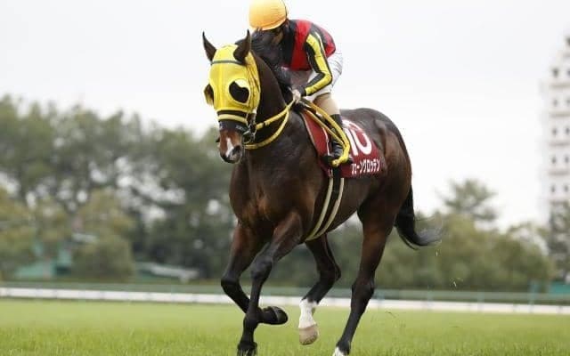 【七夕賞】フェーングロッテン、エヒトらが登録