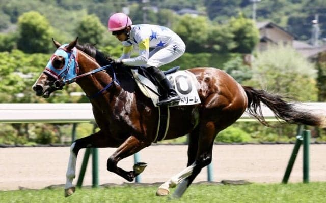 【新馬/福島6R】断然人気ビッグドリームが6馬身差圧勝