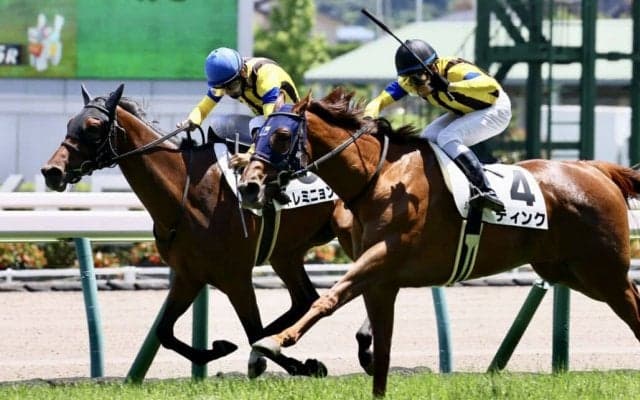 【新馬/福島5R】リアルインパクト産駒 トレミニョンが激戦を制する