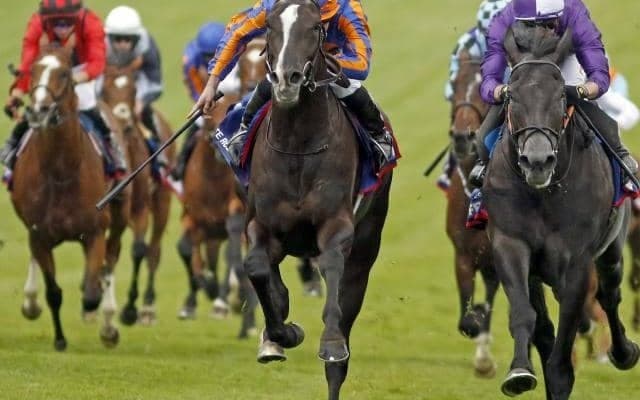 【愛ダービー結果】ディープ最終世代オーギュストロダンが優勝！ 英ダービーに続いて再びビッグタイトル獲得