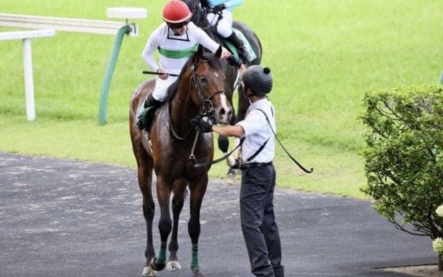 WIN5は307万円超の払戻し…ラジオNIKKEI賞はエルトンバローズがV