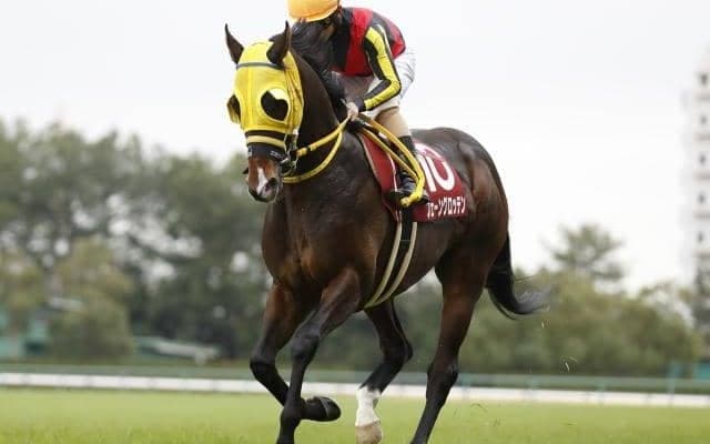 荒れるハンデ戦・七夕賞、ダート重賞のプロキオンS/今週の競馬界の見どころ
