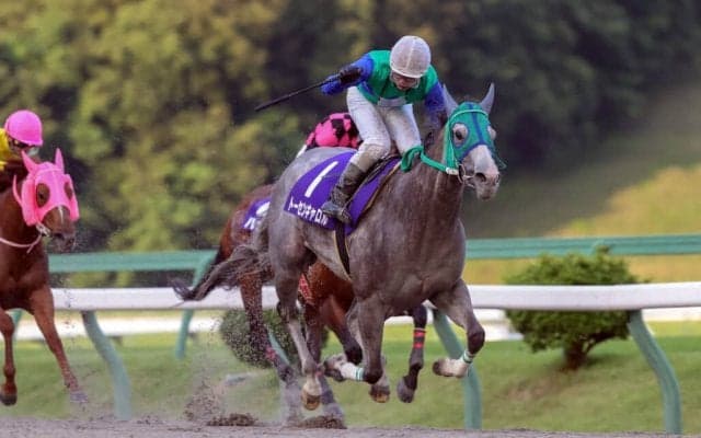 【盛岡・岩鷲賞】単勝100倍超トーセンキャロルが差し切る…単勝1.0倍キラットダイヤは3着