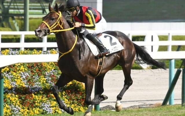 【七夕賞見どころ】フェーングロッテンが重賞2勝目を狙う