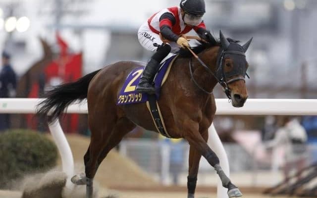 【スパーキングレディーC枠順】重賞4勝馬グランブリッジは1枠1番、南関東の女王スピーディキックは8枠9番