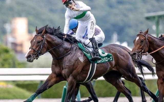 【ラジオNIKKEI賞】売上は69億953万8300円で昨年より約14億円増加